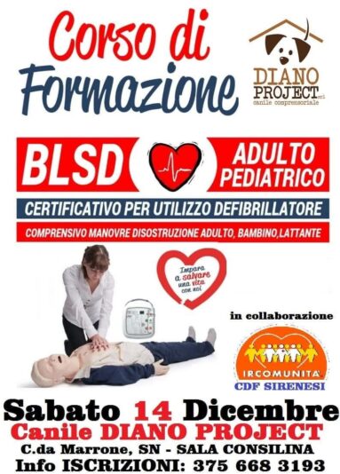 FB_IMG_1733813994156